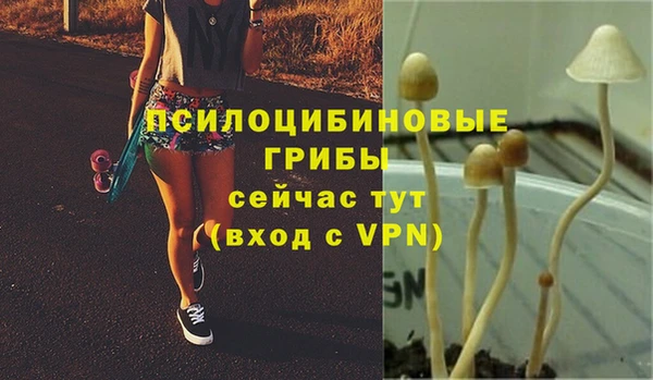 прущий лед Алзамай