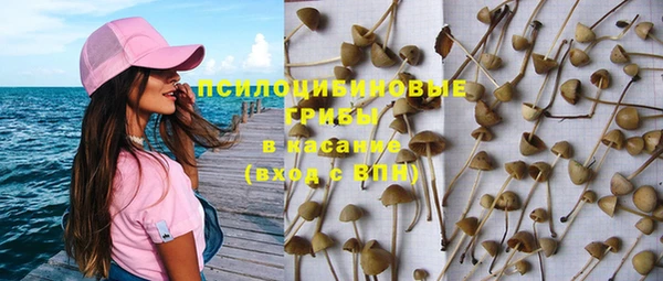 прущий лед Алзамай