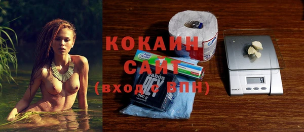 молекула духа Алексеевка