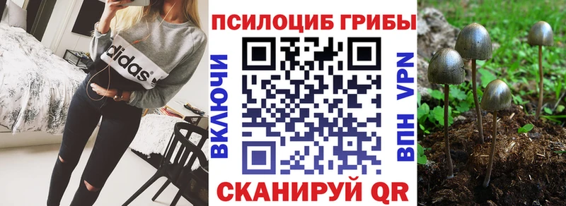 закладки  блэк спрут онион  Галлюциногенные грибы прущие грибы  Ахтубинск 