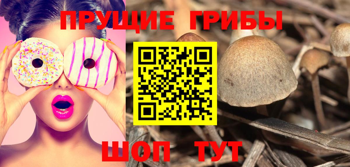 Ахтубинск  Галлюциногенные грибы мухоморы  цена   Вход с VPN  Псилоцибиновые грибы мицелий 